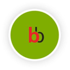 BigBasket-logo